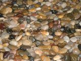 Natural Flat &Polished River Stone Pebble with Mixed Colors