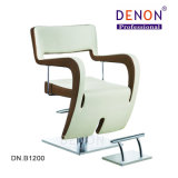 Beauty Salon Chairs Barber Chair for Sale Cheap (DN. B1200)