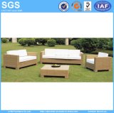 Modern Design Yellow Rattan Sofa Patio Furniture (LN-015)