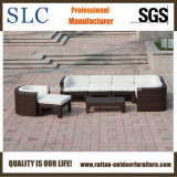 Outdoor Wicker Furniture/Garden Corner Sofa/Modern Garden Sofa (SC-B6516)