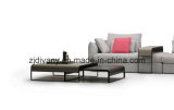 2017 New Fashion Home Furniture Coffee Table (T-95)