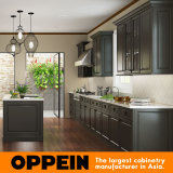 High Quality Modern Lacquer Wood Kitchen Cabinets (OP15-L21)