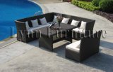 Garden Sofa Set (LN-061)