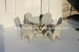 PE Rattan Wicker Dining Set/Hand-Woven Garden Furniture/Outdoor Furniture (BP-3037)