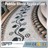 Hot Sale Snow White Pebble/River Stone Widely Used in Floor, Wall, Swimming Pool