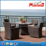 Outdoor Leisure Furniture Dining Chair Wicker Set