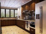 Stainless Steel Kitchen Cabinets for Waterproof Kitchen Furniture (BR-SP008)