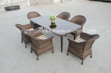 New Design Dining Chair and Table Rattan Products/Wicker Furniture