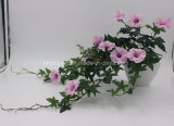 Artificial Plant Morning Glory Flower for Hotel Decoration