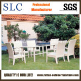 Powder Coated Aluminum Garden Furniture (SC-B1016)