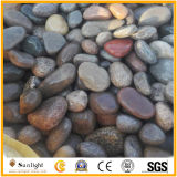 Natural River Multicolored Pebble Stone for Landscaping, Paving, Garden