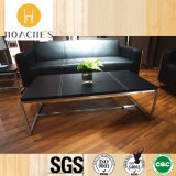Tempered Glass Tea Table with Stainless Steel Leg (S210)