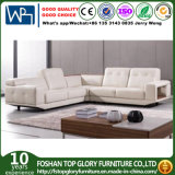 2+2+Corner Living Room Genuine Sofa (TG-S220)
