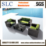 High Quality Outdoor Furniture/ Garden Furniture (SC-A7281)