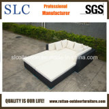 Durable & Comfortable Rattan Lounge Sofa (SC-B7019-B)