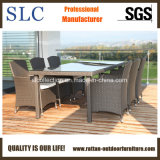 Outdoor Furniture/Outdoor Rattan Furniture/Outdoor Wicker Furniture (SC-B7015)
