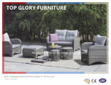 PE Rattan & Aluminum Furniture, Outdoor Rattan Sofa (TG-074)