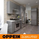 Modern Glossy Grey Wooden Acrylic Wholesale Modular Kitchen Cabinet (OP16-A01)