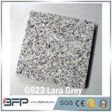G623 Natural Stone Grey Granite for Floor, Stair, Paving Stone