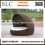 Rattan Daybed /Round Rattan Lounge/ Sunbed Lounge (SC-B6020)