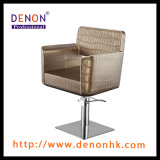 Hair Chair Salon Furniture Beauty Manufacturer (DN. LY530)