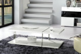 Modern Style Popular and Hot Functional Coffee Table (CJ-M08)