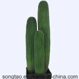 Artificial Cactus Bonsai for Indoor Decoration
