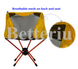 Picnic Chairs Outdoor Folding Chairs for BBQ