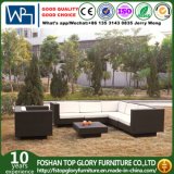 L Shape Outdoor Leisure Sofa Garden Furniture Rattan Sofa (TG-JW36)