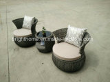 Leisure Hotel Furniture/PE Rattan Wicker Outdoor Furniture/Patio Garden Furniture (BP-232R)