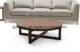 Modern Style Living Room Wooden Tea Table (T-74A)