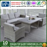 Outdoor Sofa Design for Garden Used Aluminum Frame and Rattan to Be Finished (TG-073)