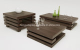 Wooden Coffee Table with Veneer Color