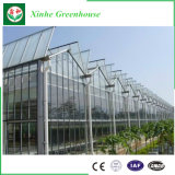 Turn-Key Greenhouse Xinhe Greenhouse