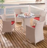 Outdoor Wicker Patio Home Hotel Office Restaurant Auckland Garden Dining Table and Chair (J375W)