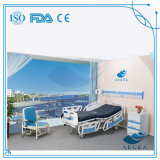 AG-By003c Nursing Home Medical Patient ABS Hospital Electric Bed