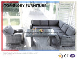 Garden Outdoor Rattan Wicker Sofa Set (TG-050)