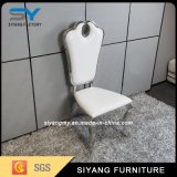 Hot Sale Foshion Design Stainless Steel Dining Chair