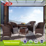 Rattan Dining Set/Outdoor Dining Table (DH-6067)