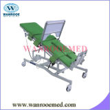 Dd-1 Hospital Medical Upright Electric Tilt Bed for Walking Training