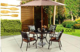 Outdoor /Rattan / Garden / Patio/ Hotel Furniture Cast Aluminum Chair & Table Set (HS 3039C&HS6119DT)