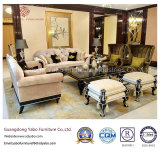 Star Hotel Furniture with Luxury Living Room Furniture Set (HL-2-5)
