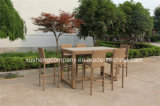 New Design Hot Selling Synthetic Rattan High Bar Chair Using for Garden /Bar