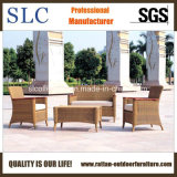Modern American Style Rattan Sofa Set /Garden Sofa (SC-B1002)