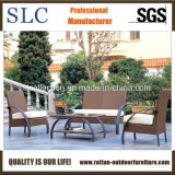 Outdoor Sofa Set Rattan Outdoor Furniture (SC-B1010)