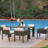Garden Rattan Dining Chairs and Table Outdoor Dining Set (TG-JW63)