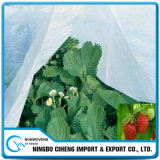 Warm PP Non Woven Mini Agricultural Greenhouse Film for Sale