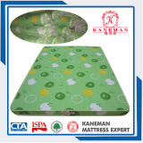 Wholesaler Price School and Quality High Density Compressed Foam Mattress