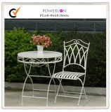 New Product Garden Table and Chair