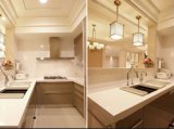 Modern Design Home Furniture Kitchen Cabinet Yb1709498